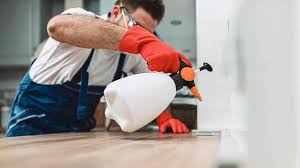 Reliable Glencoe, FL Pest Control Solutions